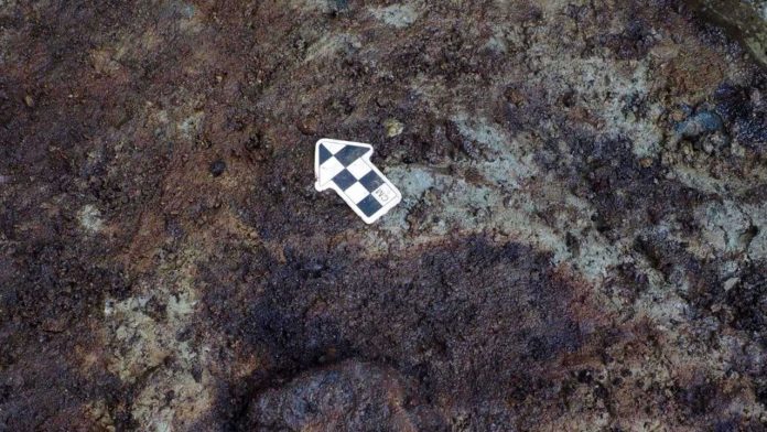 Hallan huellas humanas de 13.000 años en isla de Calvert, canadá Hallan huellas humanas de 13.000 años en isla de Calvert, canadá