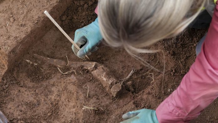 Primer cementerio de la Guerra Civil de EE.UU. hallado revela la espantosa realidad de la medicina del campo de batalla Primer cementerio de la Guerra Civil de EE.UU. hallado revela la espantosa realidad de la medicina del campo de batalla
