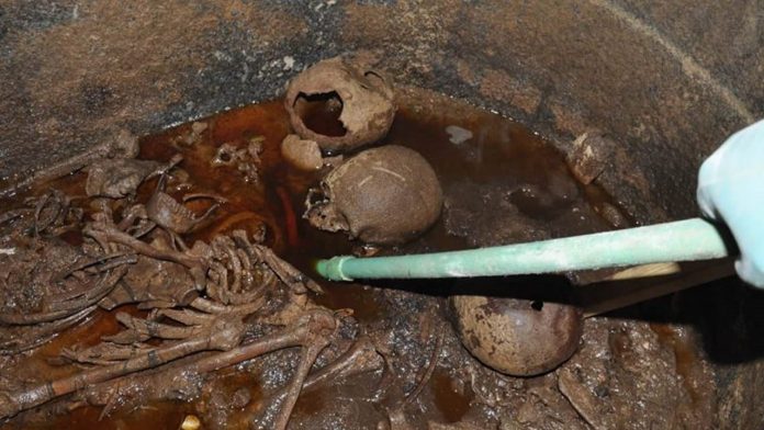 No, no tomes el jugo de momia No, no tomes el jugo de momia