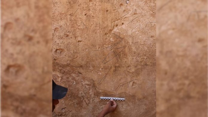 Hallan grabados de barcos de la era bíblica en desierto de Israel Hallan grabados de barcos de la era bíblica en desierto de Israel