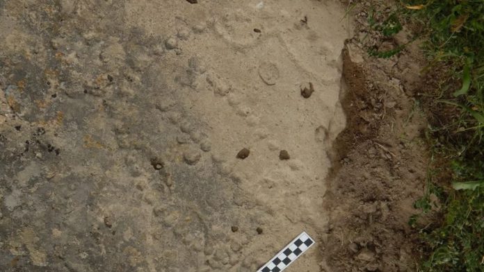 Hallan un tablero de juego de 4.000 años de antigüedad tallado en la Tierra Hallan un tablero de juego de 4.000 años de antigüedad tallado en la Tierra