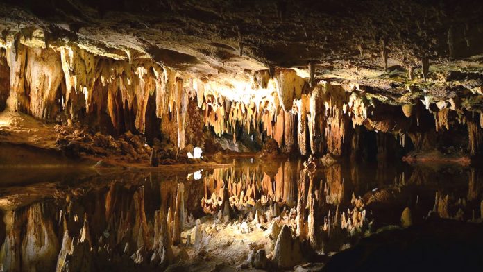 Las estalagmitas son montículos ascendentes de depósitos minerales que se han acumulado debido al agua que gotea en el suelo de una cueva, y revelan la historia de una tierra