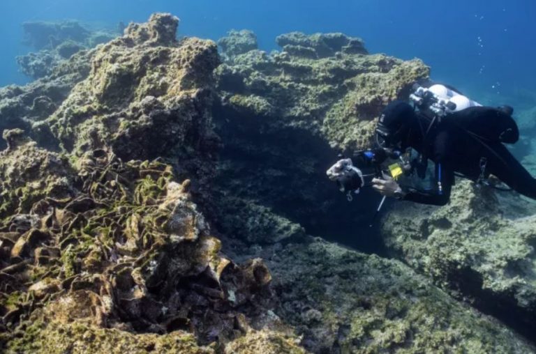 Hallan naufragio de la antigua Grecia de hace 2 500 años con anclas de