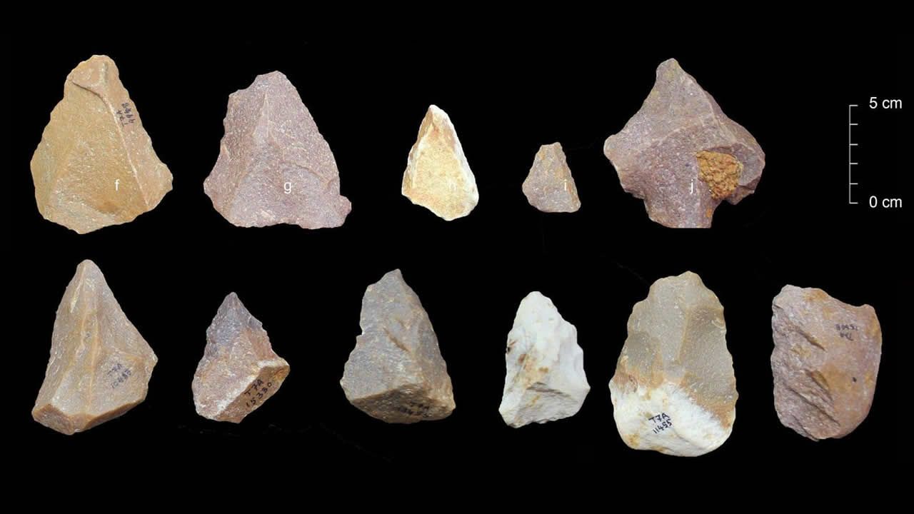 Antiguas herramientas de piedra halladas en India reescriben historia de los humanos saliendo de África