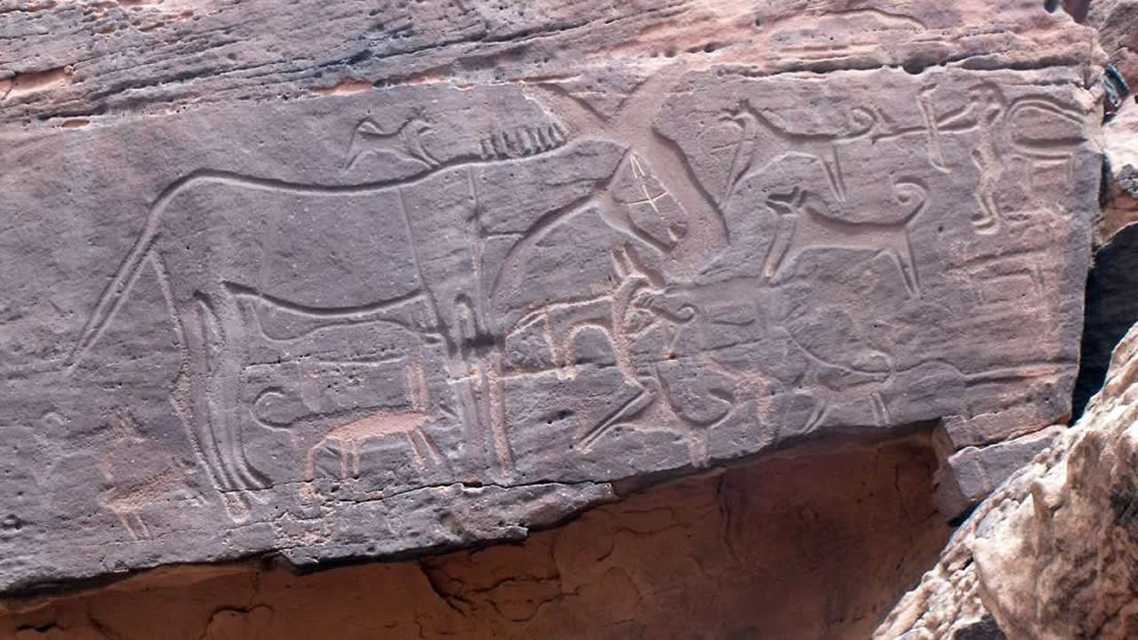 Arte rupestre revela que Arabia fue el hogar de animales no pensados anteriormente