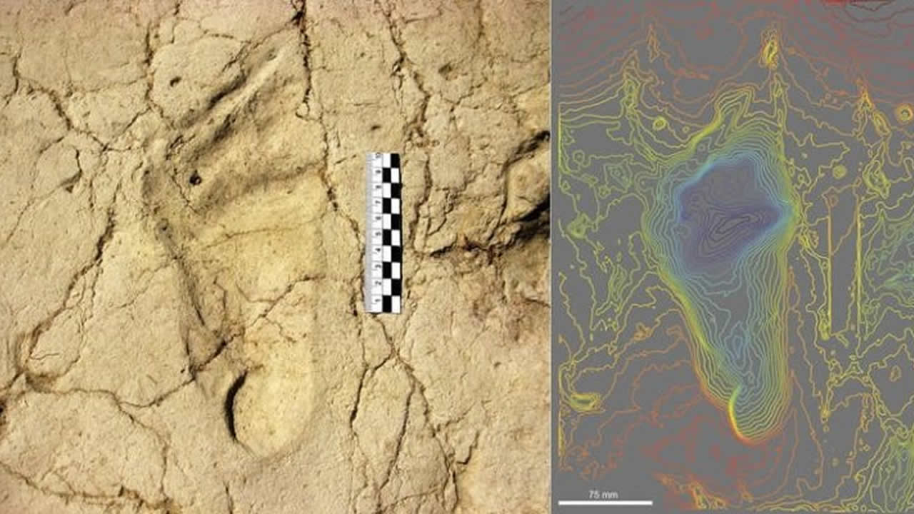 Huellas de 700.000 años revelan lo que era ser un niño en tiempos prehistóricos