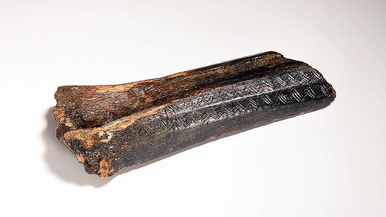 Hallan hueso de bisonte de 13.500 años con misteriosos tallados, en el fondo del Mar del Norte