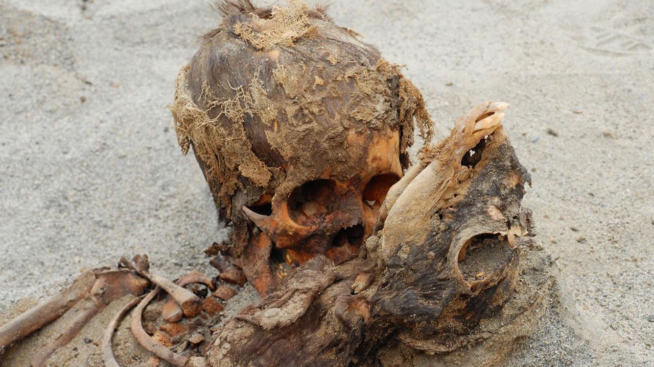 Hallan tumba de 140 niños sacrificados en el antiguo Perú