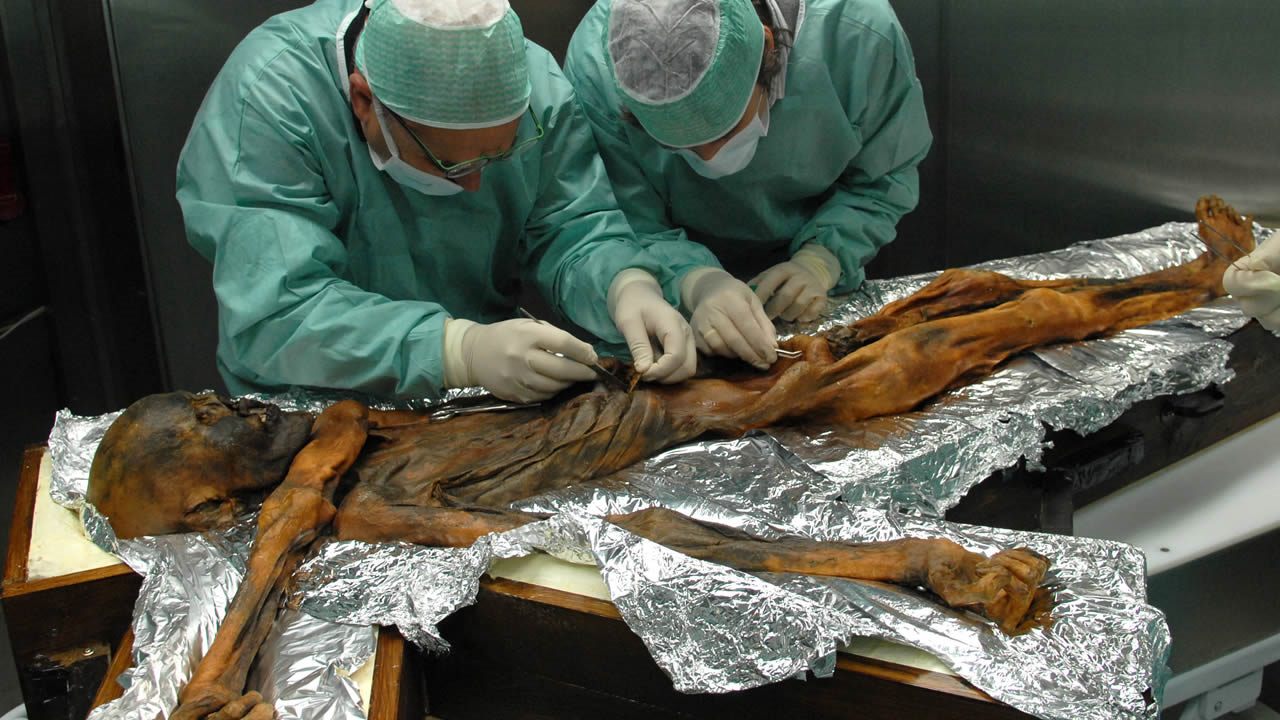 «Hombre de hielo» de 5.300 años revela secretos de antiguas dietas