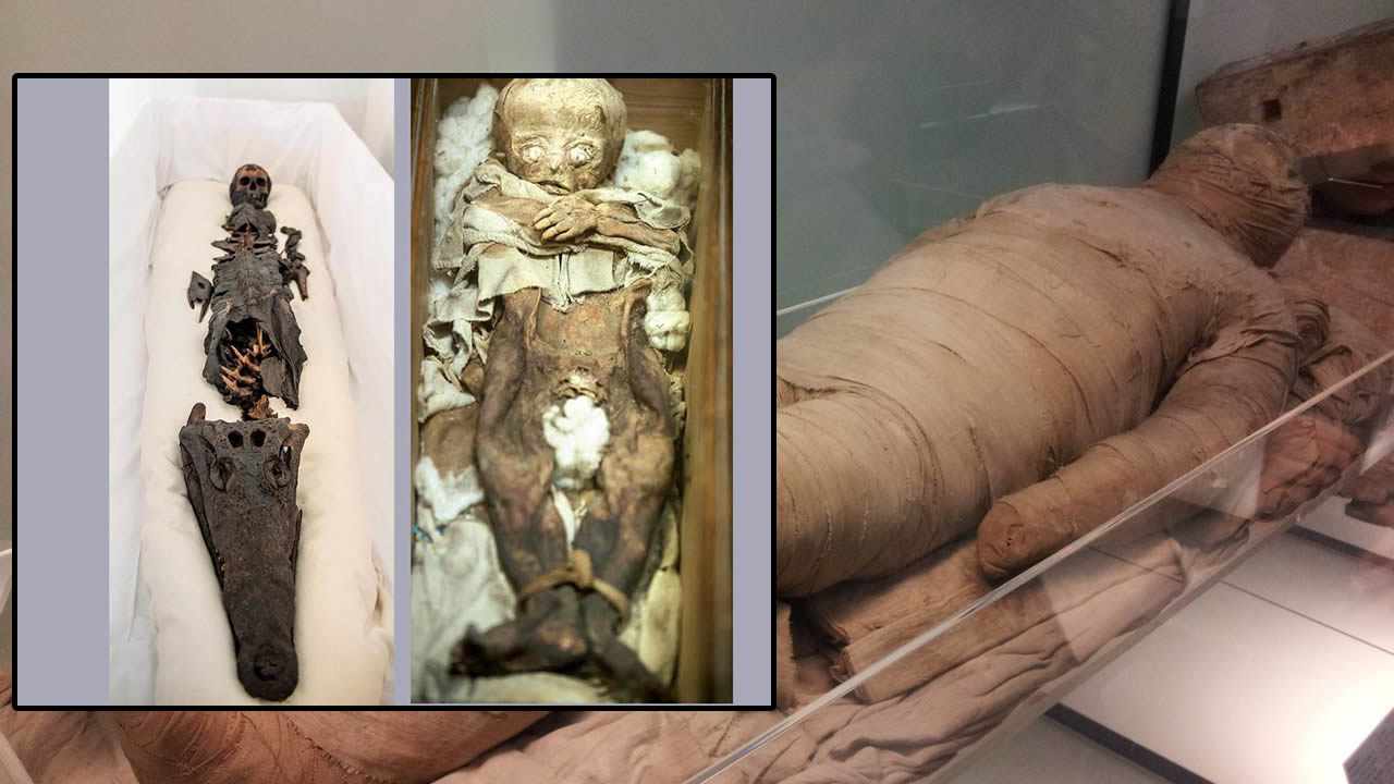 Momia egipcia con cabeza de niña y de cocodrilo es expuesta por primera vez