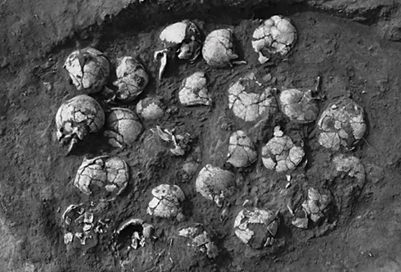 Un pozo de sacrificio de cráneos humanos descubierto en Shimao. Las personas sacrificadas pueden haber sido cautivas y capturadas en la guerra