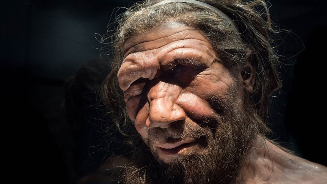 ¿Acompañamos a la neandertales a su extinción?