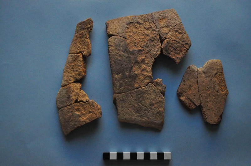 Fragmentos del cráneo de un joven elefante encontrado en un antiguo basurero ubicado en el lado sur del muro defensivo del norte.