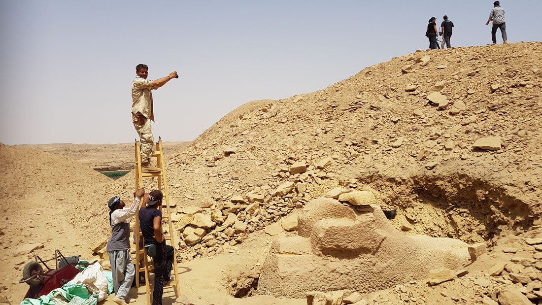 Hallan una Esfinge de arenisca de 3.000 años en Egipto y vinculada al abuelo de Tutankamón