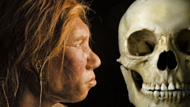 Nuestros ancestros se cruzaron con al menos cuatro poblaciones humanas arcaicas