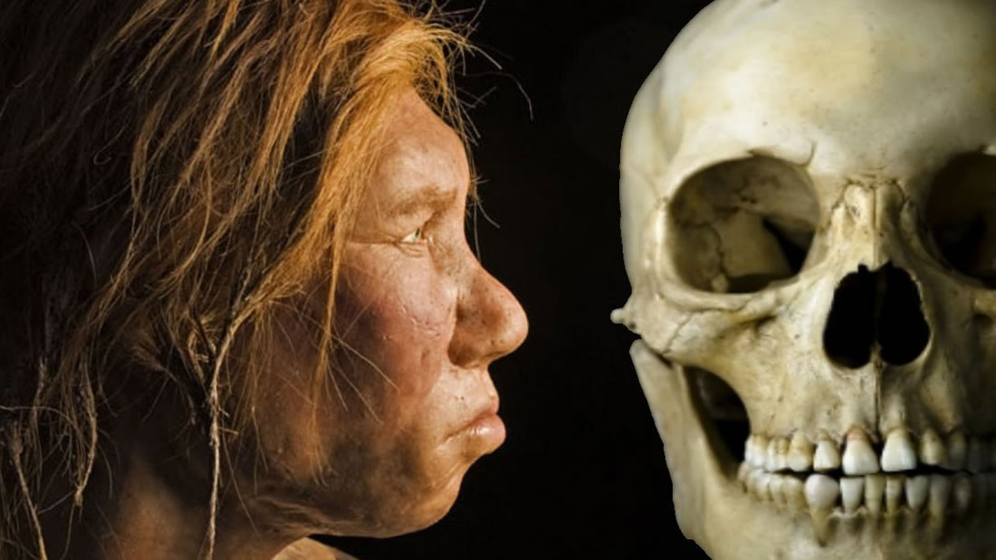Confirman el hallazgo de los primeros fragmentos de cráneo de Denisovano