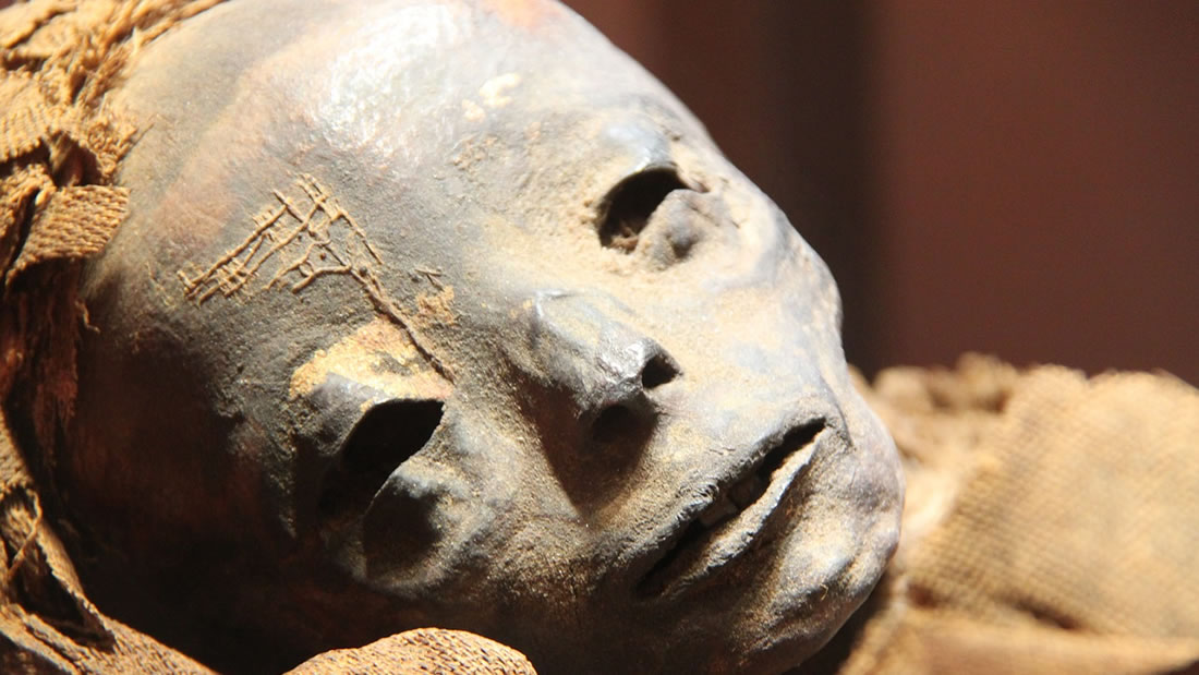 Antiguo sarcófago egipcio será abierto en vivo en TV