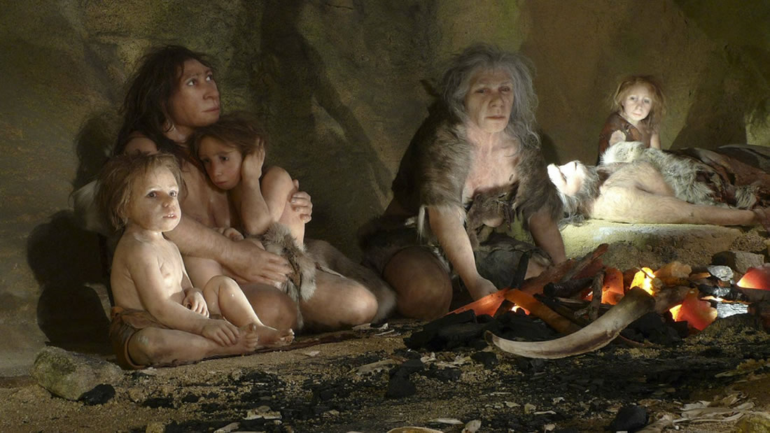 Los neandertales se vieron obligados a comerse unos a otros, debido al cambio climático