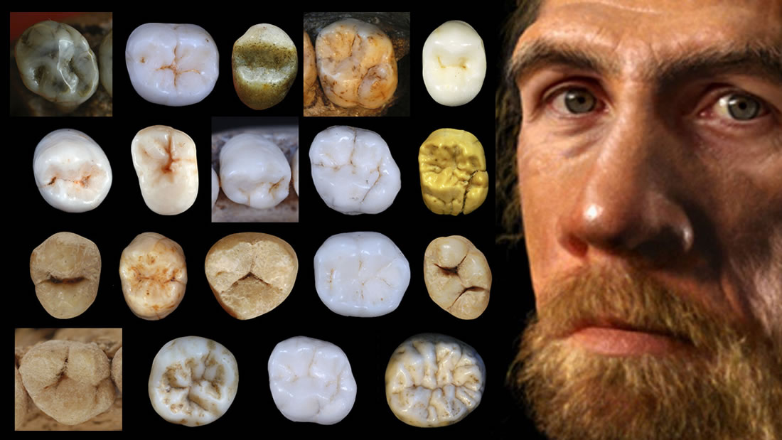 Neandertales y humanos modernos divergieron hace al menos 800.000 años, antes de lo que se creía