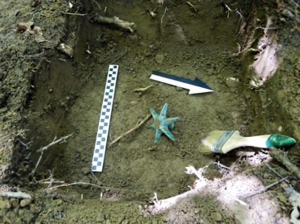 La cabeza de mazo fue descubierta por arqueólogos aficionados en Polonia