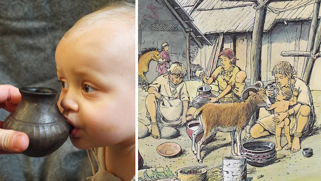 Científicos descubren el primer biberón del mundo en Baviera usado hace más de 2.500 años