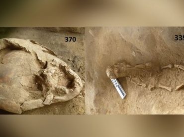 Hallan dos bebés enterrados hace 12.000 años usando cascos hechos de cráneos de niños